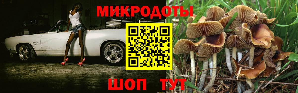 Псилоцибиновые грибы Cubensis Россия
